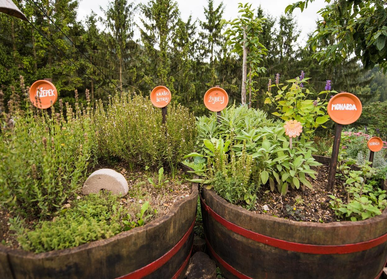 Farm Stay Zagar Mozirje Ngoại thất bức ảnh
