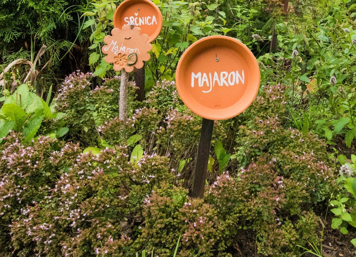 Farm Stay Zagar Mozirje Ngoại thất bức ảnh