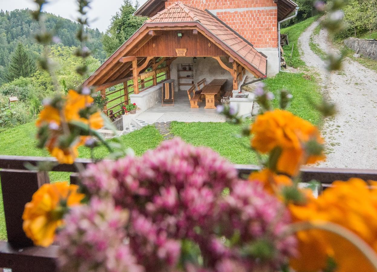 Farm Stay Zagar Mozirje Ngoại thất bức ảnh
